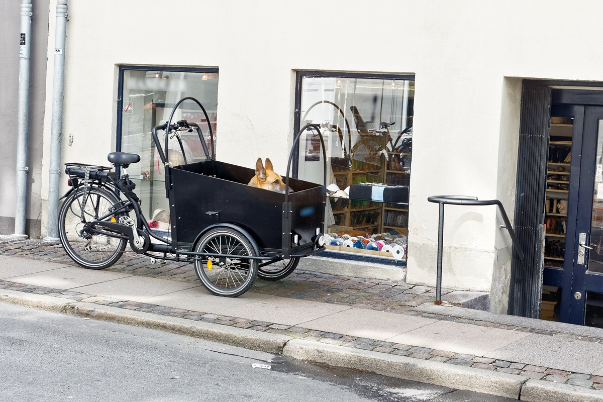 Belastingvoordeel 2026 voor milieuvriendelijke investeringen Belastingvoordeel 2026 voor milieuvriendelijke investeringen
